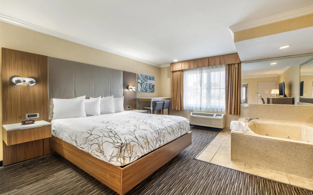 Double Suite