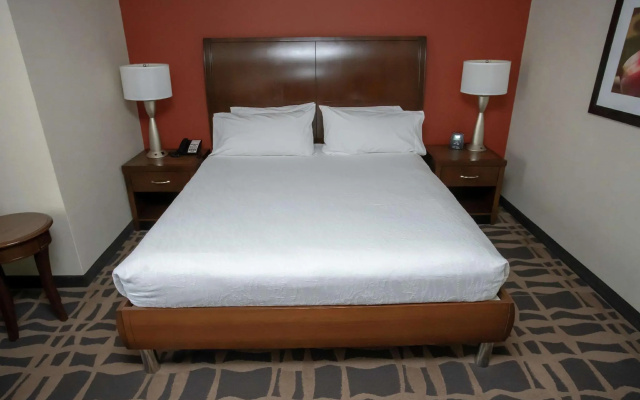 Double Junior Suite