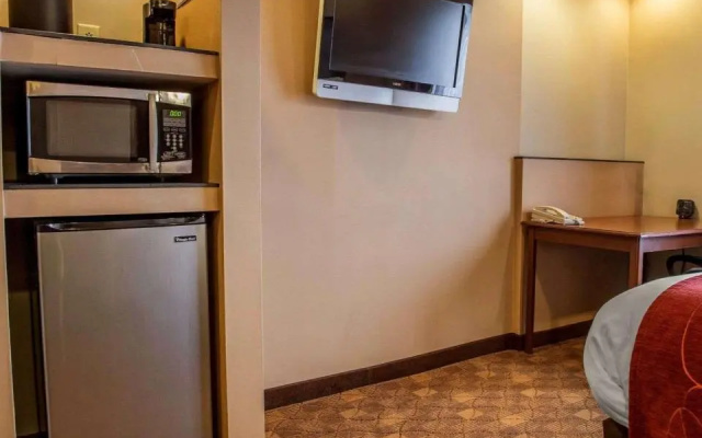 Standard Suite