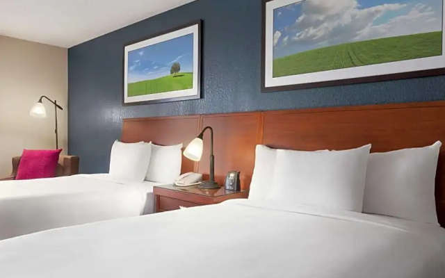 Standard Suite