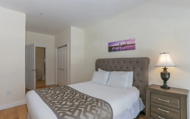 Luxury Apartment