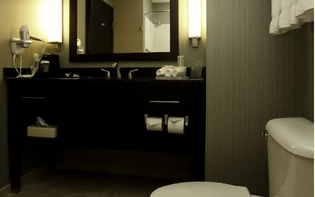 1 Bedroom Suite
