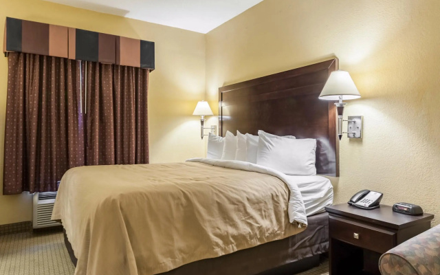 1 Bedroom Suite