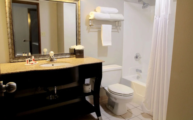 1 Bedroom Suite