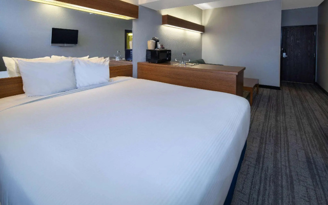 1 Bedroom Double Suite