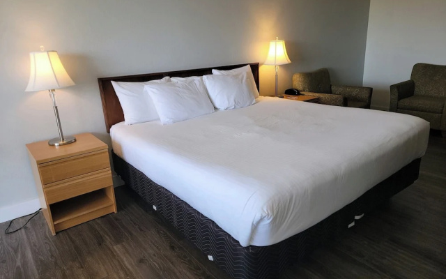 Standard Double room with garden view