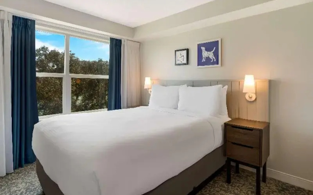 Suite with view