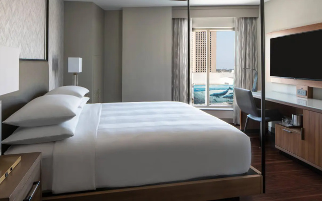 1 Bedroom Presidential Suite