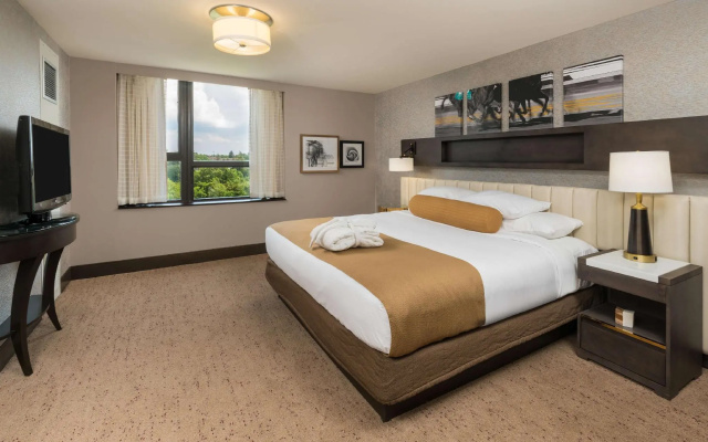 Luxury Double Suite