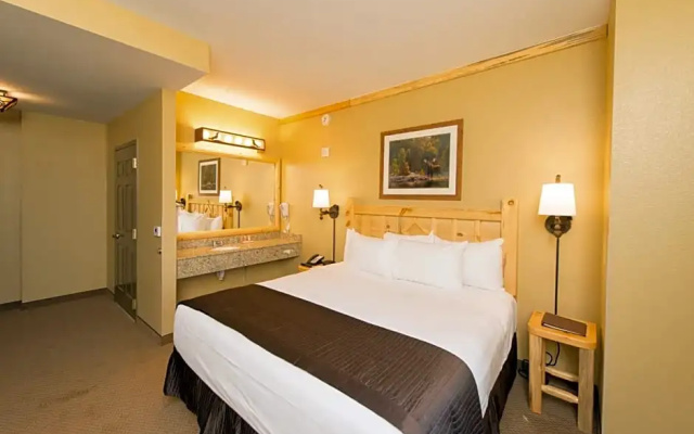 Standard Family Suite