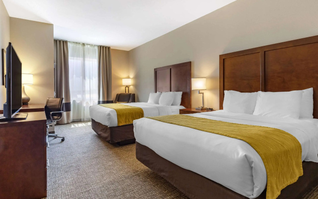 Quadruple Suite