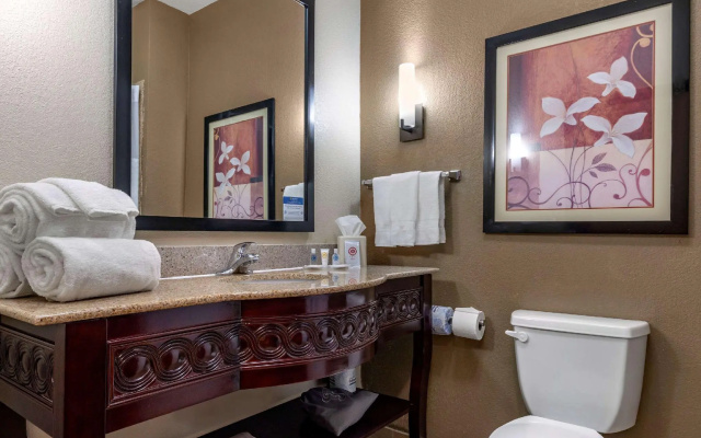 1 Bedroom Suite
