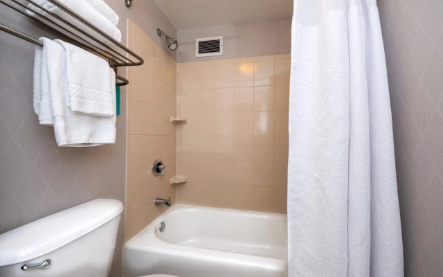 1 Bedroom Executive Double Suite