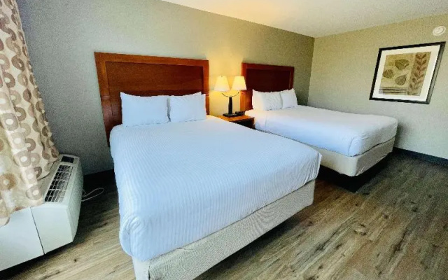 Superior Quadruple room
