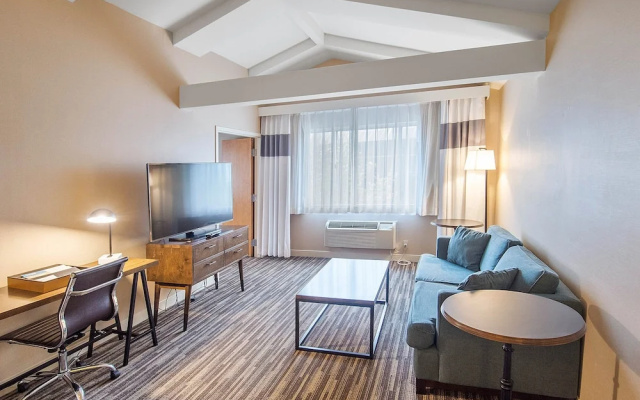 1 Bedroom Suite