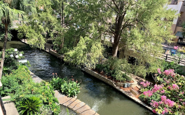 Ambassador Double room with balcony and with river view