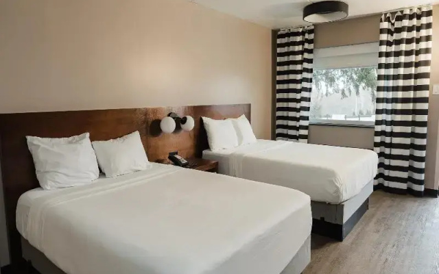 Standard Quadruple room with view