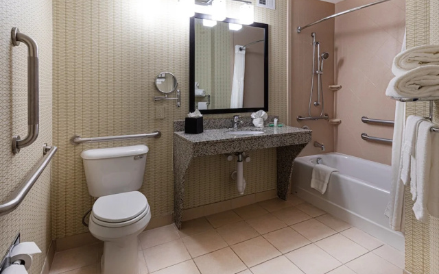 1 Bedroom Suite