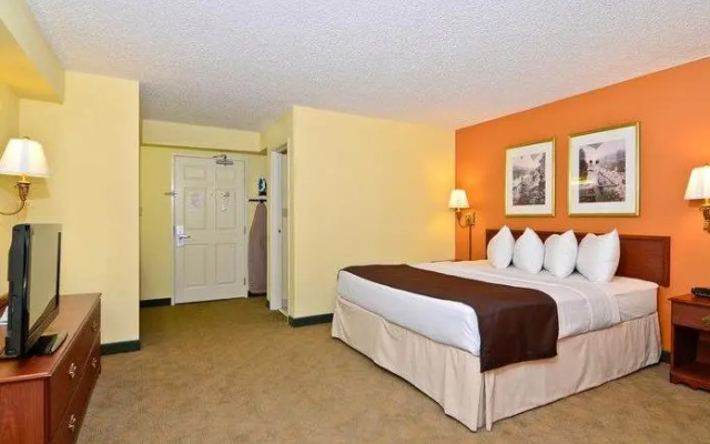1 Bedroom Double Suite