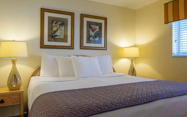 1 Bedroom Deluxe Suite