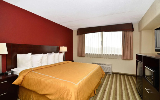 1 Bedroom Suite