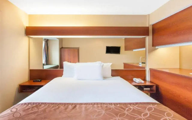 1 Bedroom Suite
