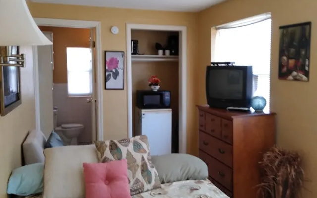 Standard Double room with pool view