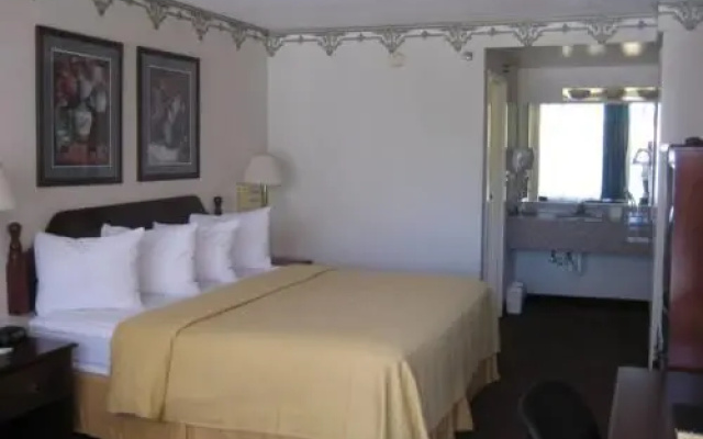 1 Bedroom Suite