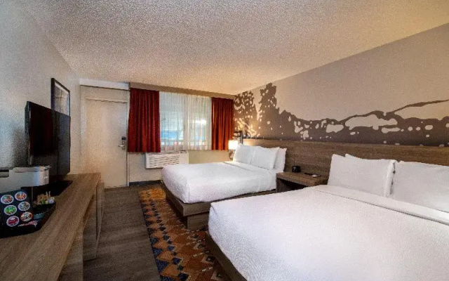 Standard Twin room with pool view