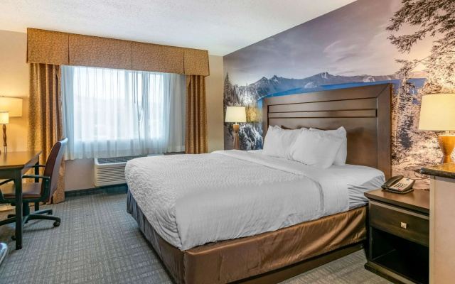 Double Suite