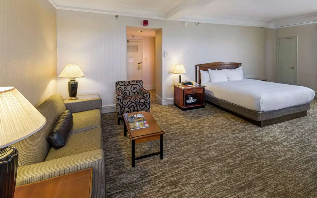 Double Studio Suite