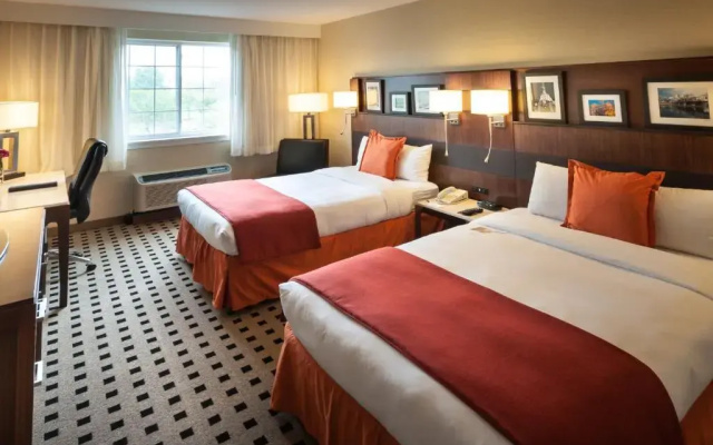 1 Bedroom Quadruple Suite
