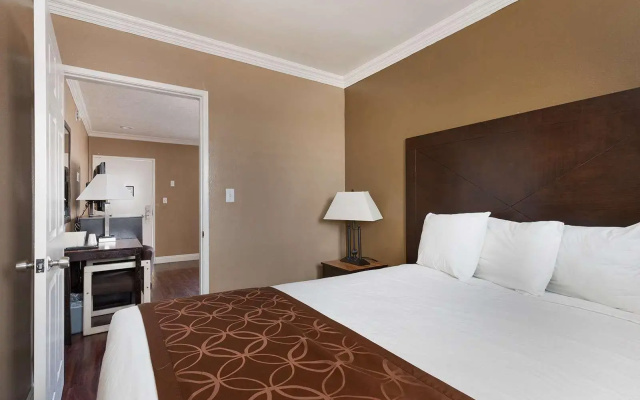 Double Suite
