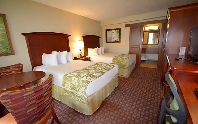 Deluxe room