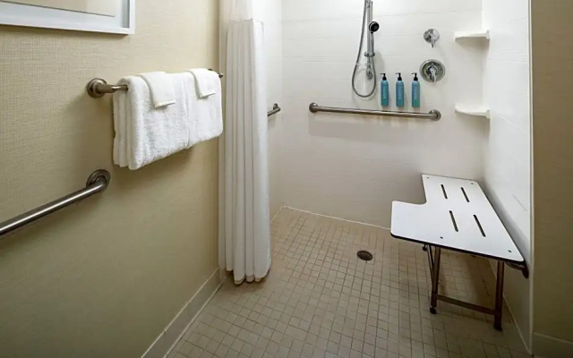 1 Bedroom Double Suite with city view