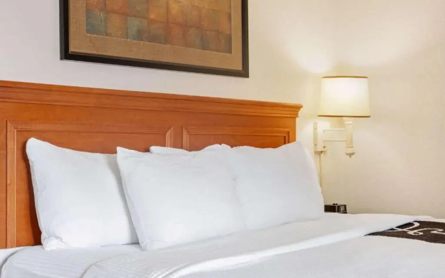 1 Bedroom Double Suite