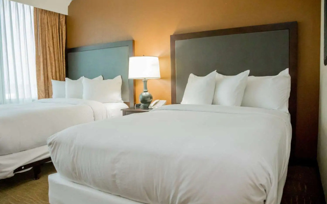 2 Bedrooms Quadruple Suite