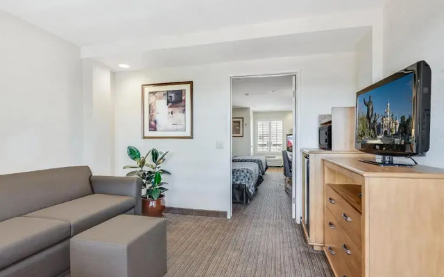 Executive Quadruple Suite