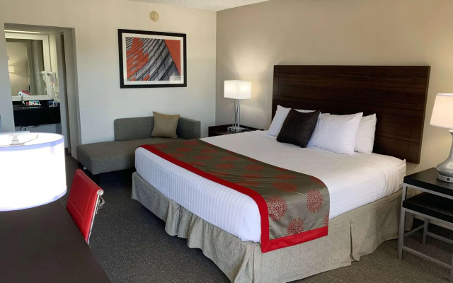 Standard Double room with city view