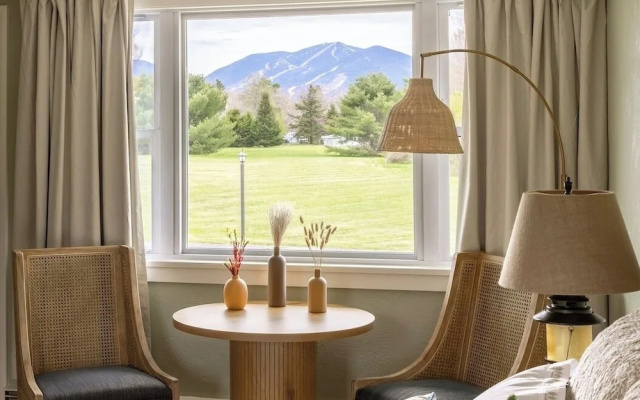 Standard Double room with mountain view