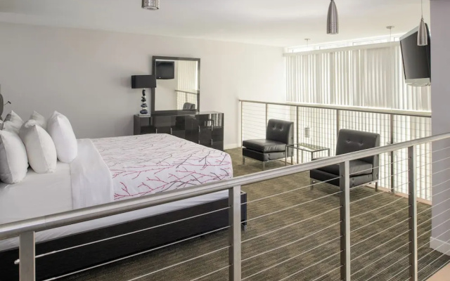 Luxury Suite