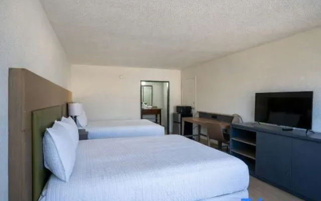 Quadruple Suite