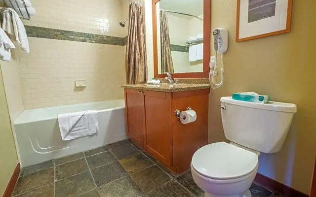 1 Bedroom Standard Double room