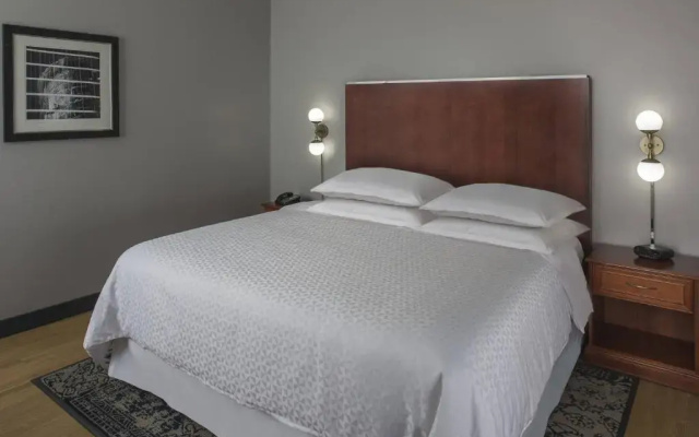 1 Bedroom Double Suite with city view