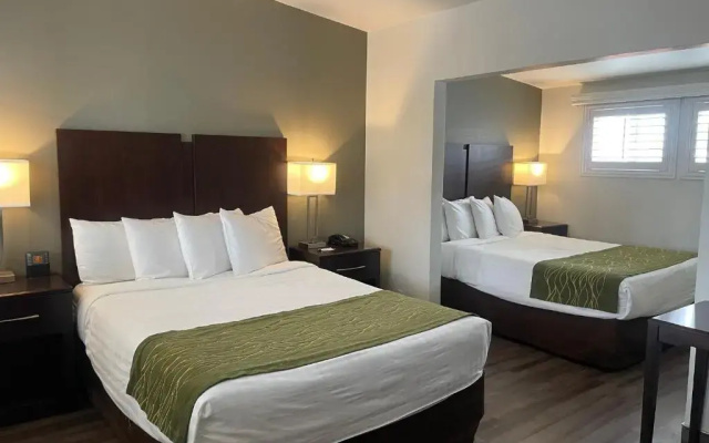 Standard Quadruple room