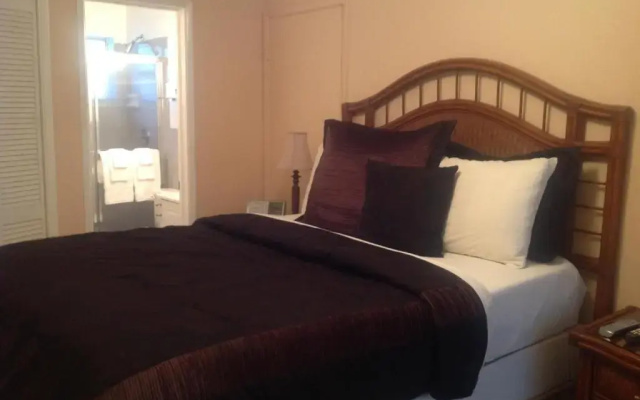 Standard Double room with pool view