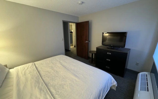 1 Bedroom Suite