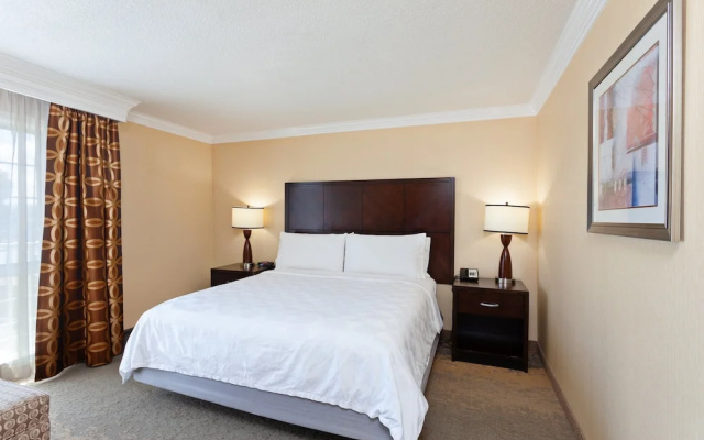 1 Bedroom Suite