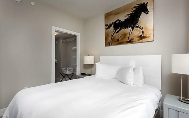 Luxury Apartment