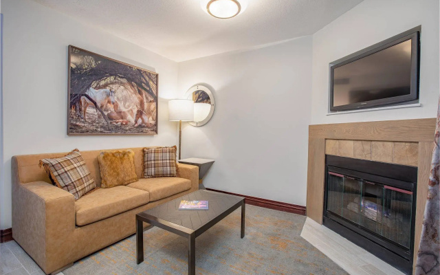 Double Suite